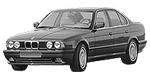 BMW E34 P0177 Fault Code